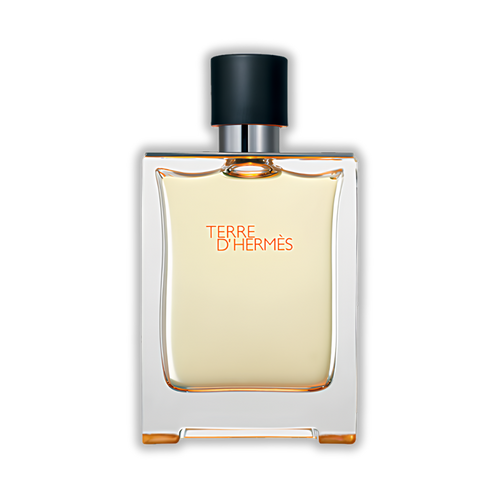 Hermes | Terre D'Hermes EDT fragrance decant – ScentStick